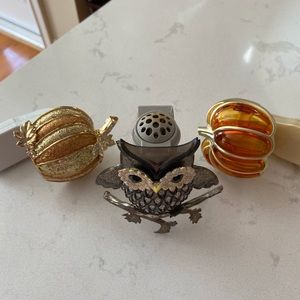 Bath and Bodyworks Wallflower Plug-Ins